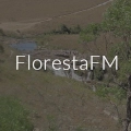 FlorestaFM - ONLINE